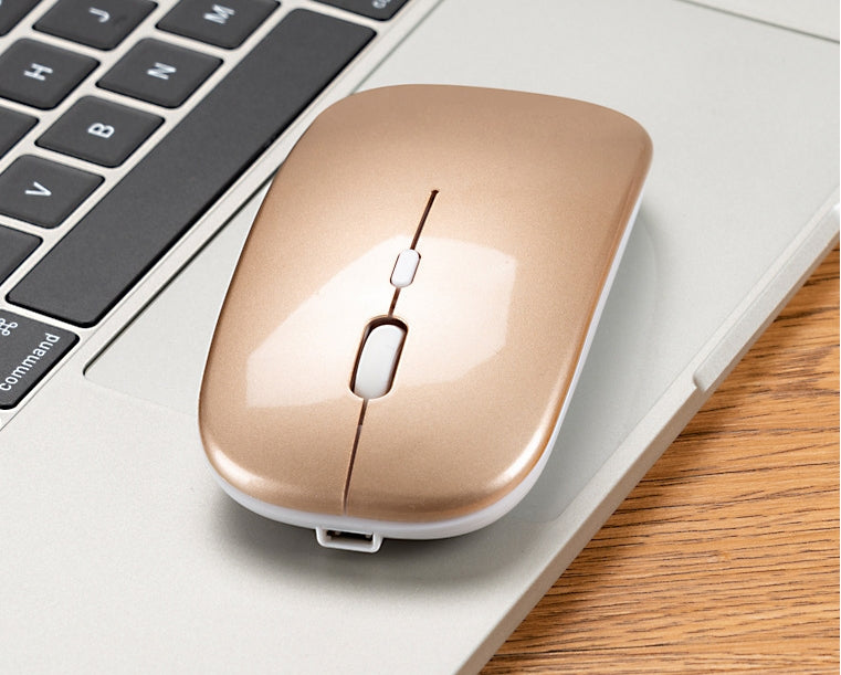 Custom Logo 2.4G Charging Portable Wireless Silent Mouse | Premium Corporate Gifts and Custom Gifts