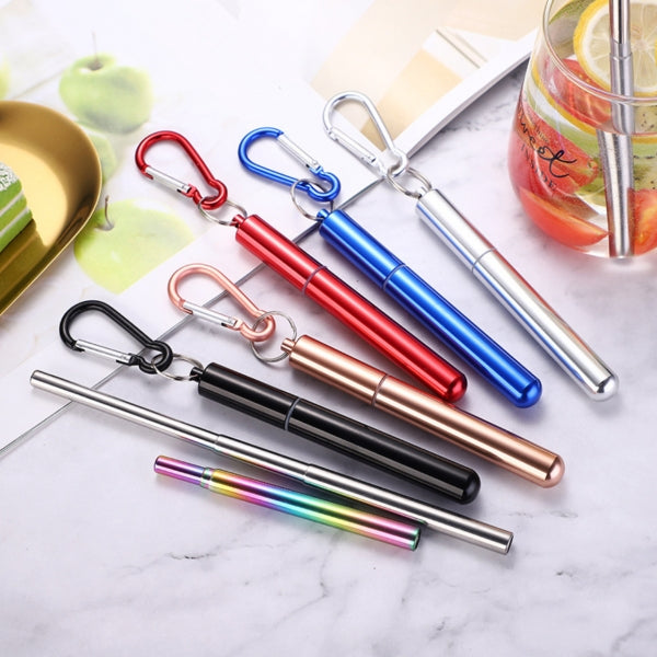 Custom Logo 304 Stainless Steel Telescopic Straw Set | Premium Corporate Gifts and Custom Gifts