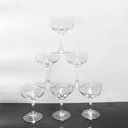 Custom Logo Champagne glass goblet | Premium Corporate Gifts and Custom Gifts